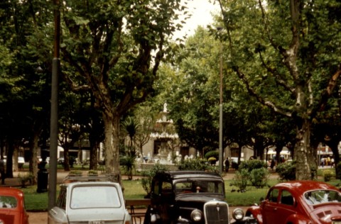Szokokut_parkban