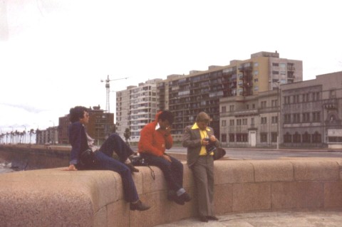 Anemetekkel_parton