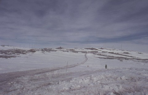D131