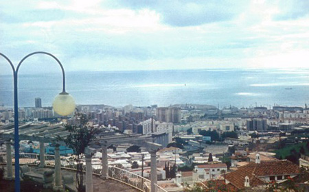 _0036_D031PTenerifelatkepe