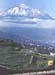 _0051_D050APicodeTeidecsucsa3718m