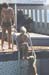 _0055_D023FurdesmedenceIrocska