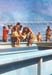 _0067_D062PBorotvalas_pecseteles