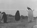 _0405_13_06_F870_Adelepingvinek2