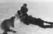 _0423_14_05_F910_Fotozzukafokakolykot