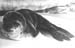 _0429_14_11_F925_WeddelfokakolyokMalagy