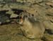 _0584_27_10_C336_Kirguelenifoka