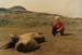 _0586_27_12_C341_Fokak_fim2