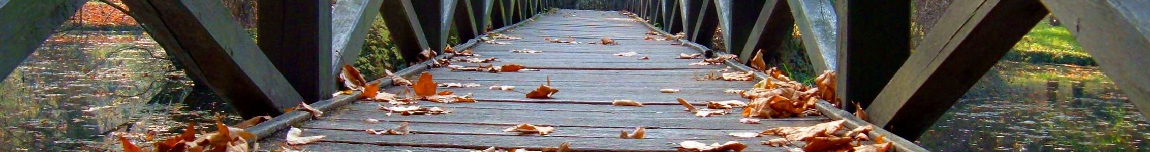 Bemutat a POLCZER-PORTA KPTR kpeibol