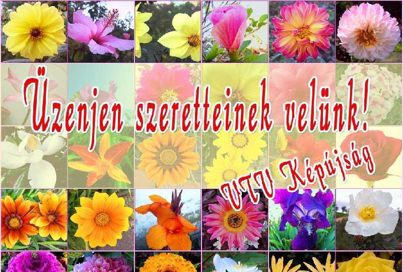 kepujsag_000_04.jpg