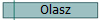 Olasz