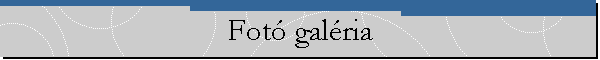 Fot galria