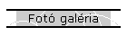 Fot galria