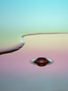 Original image