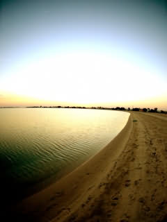 Original image