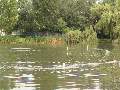 Picture 23