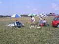 Picture 35