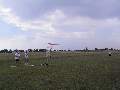 Picture 53