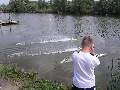 Picture 40