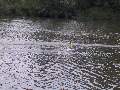 Picture 58