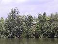 Picture 103