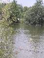 Picture 108