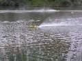 Picture 120