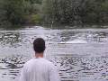 Picture 122