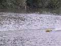Picture 125