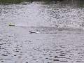 Picture 126