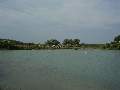 Picture 83
