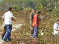 Picture 121