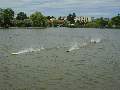 Picture 48