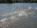 Picture 126
