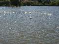 Picture 127