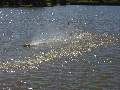 Picture 128