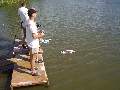 Picture 140