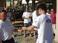 Picture 147