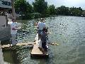 Picture 195