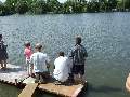 Picture 198