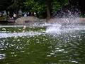 Picture 115