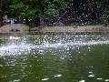 Picture 116