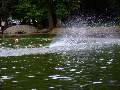 Picture 120
