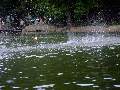 Picture 122