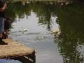 Picture 180