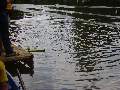 Picture 241