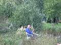 Picture 119