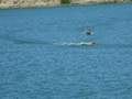 Picture 123