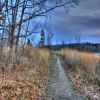 Cherokee Marsh Jigsaw