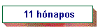 11 h�napos